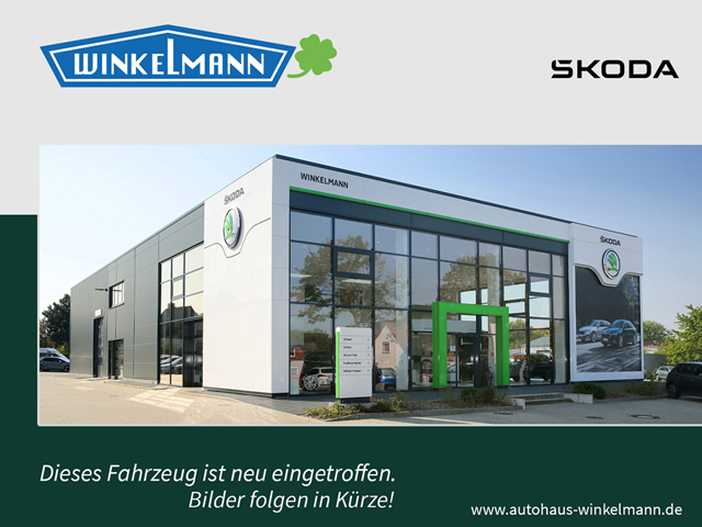 Fahrzeugbild_1