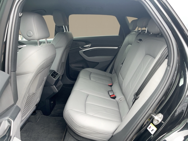 Audi - Q8 advanced 50 e-tron quattro ACC B&O MATRIX NAVI_13