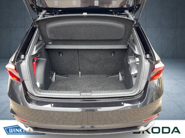 Skoda - Fabia Monte Carlo 1.0 TSI PDC SHZ WINTER PAKET_14